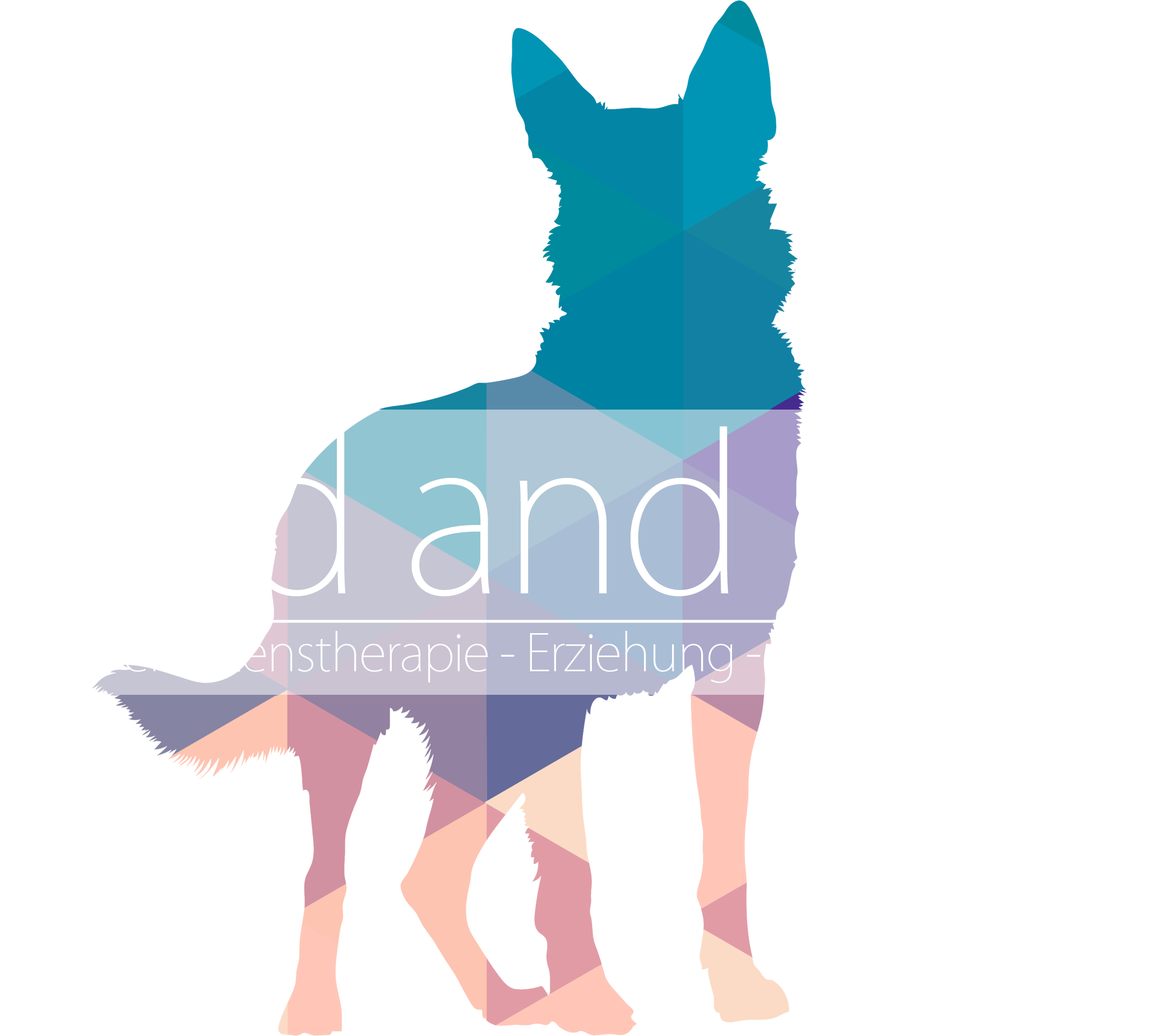 Hundeschule lead and care