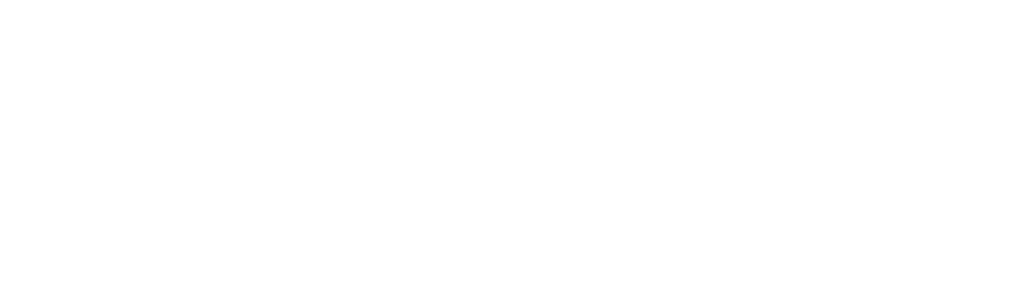 Hundeschule lead and care